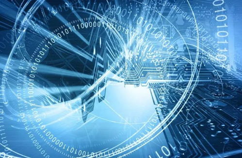 网络清源 立法护航，技术赋能